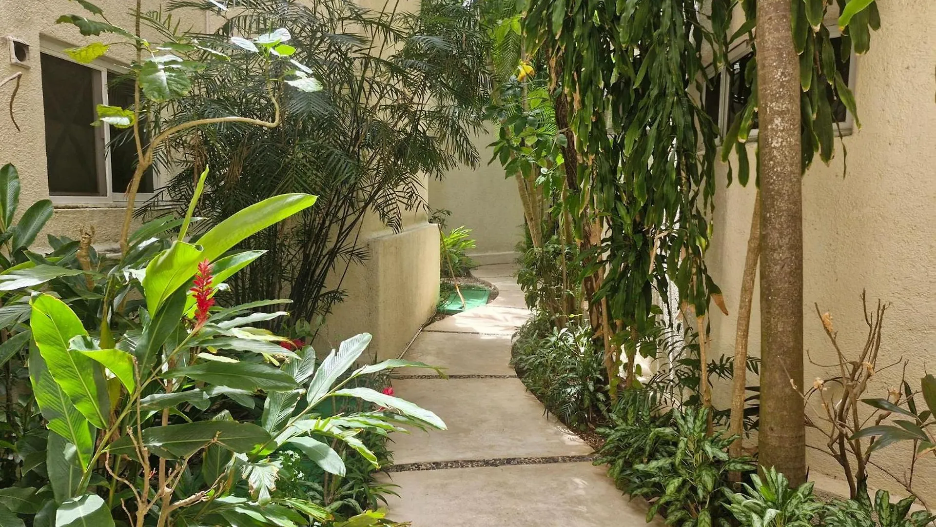 Luxurious Apartment In Playacar With Golf Playa del Carmen 0*,